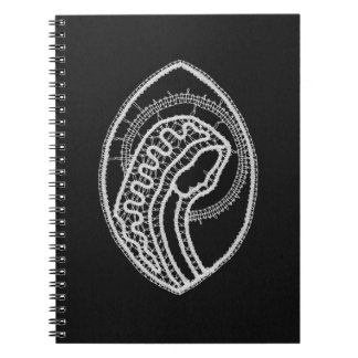 Carnet Vierge Marie bénie en dentelle blanche sur velours