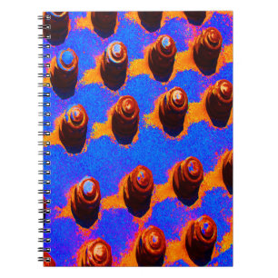 Carnet Vieux boulons