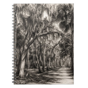 Carnet Vieux chêne de Floride Hammock Graphite Croquis   
