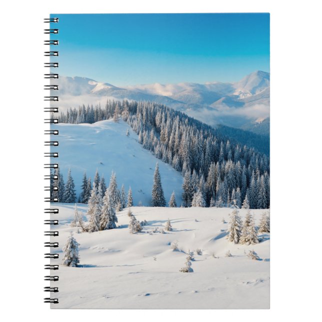 Carnet Vieux grunge texture en bois ou arrière - plan ave (Devant)