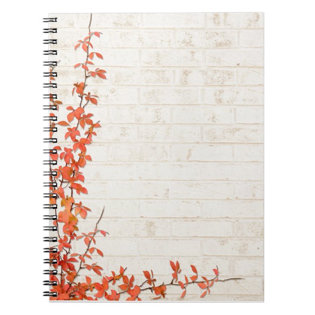 Carnet Vigne d'automne (Devant)
