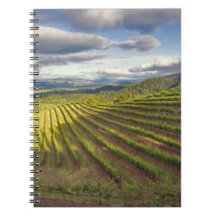 Carnet Vignoble. Vallée de Napa. Napa. Comté de Napa,