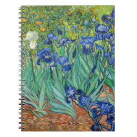 Vincent Van Gogh - Irises