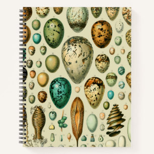 Carnet Vintage Bird Eggs French Fish Egg