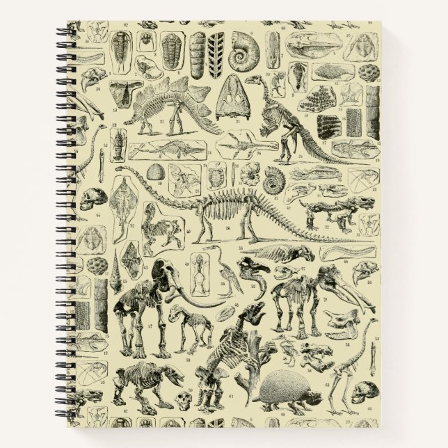 Carnet Vintage Dinosaur Bone Fossils Art (Devant)