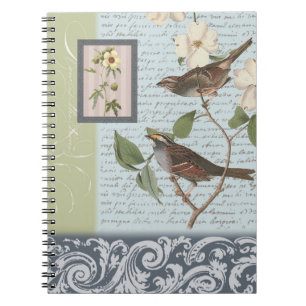 Carnet vintage d'oiseaux…