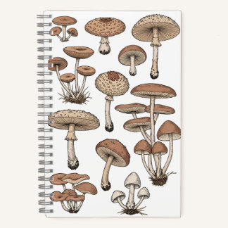 Carnet Vintage Mushrooms Notebook