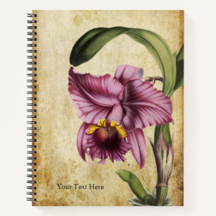 Carnet Vintage Vibrant Cattleya labiata Orchid