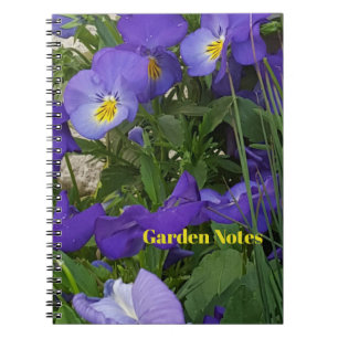 Carnet Violas Violets Dans Un Conteneur De Jardin