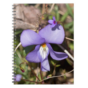 Carnet Violette de pied-d'oiseau avec Bluets