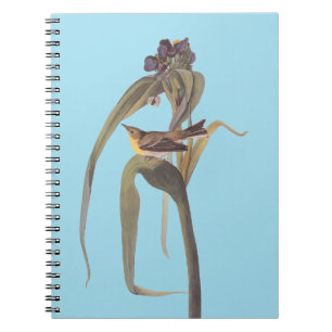 Carnet Vireo Songbird d'Audubon