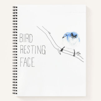 Carnet Visage de repos des oiseaux (Gncatcher gris-bleu)