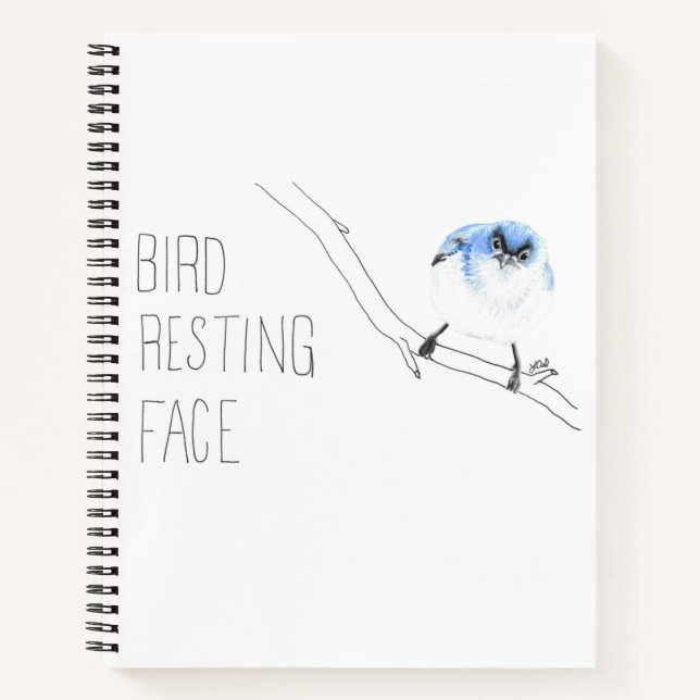 Carnet Visage de repos des oiseaux (Gncatcher gris-bleu) (Devant)