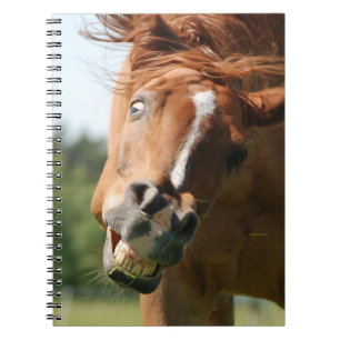 Carnet Visage drôle de cheval avec lèvres courbées, oeil 