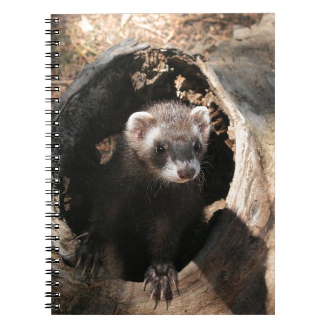Carnet Visage Ferret (Devant)