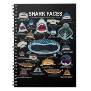 Carnet Visages de requins auxquels vous voulez participer