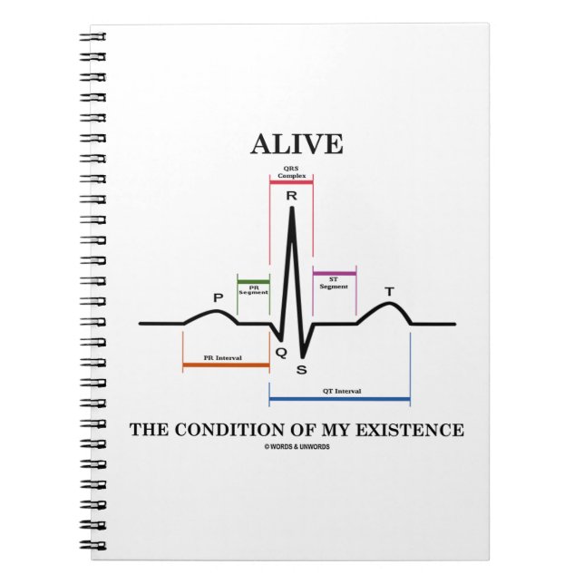 Carnet Vivant l'état de mon existence (ECG/EKG) (Devant)