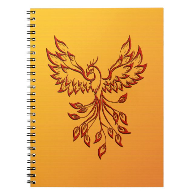 Carnet Vol d'un Phoenix (Devant)