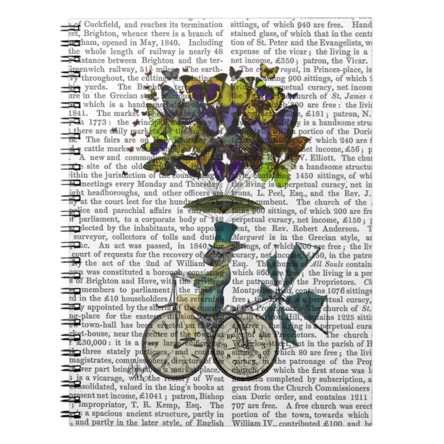 Carnet Vol temps Rabbit (Devant)