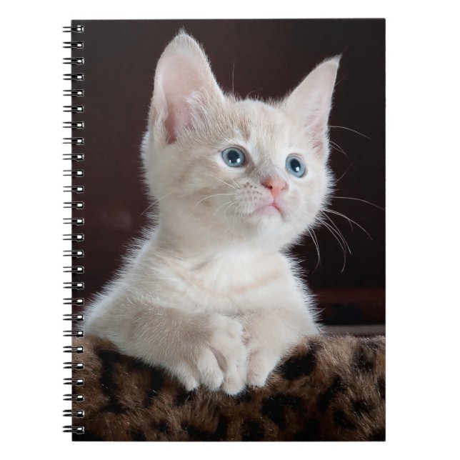 Carnet Votre coutume de photo (Devant)