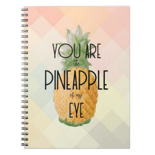 Carnet "Vous êtes l'ananas de mon oeil "