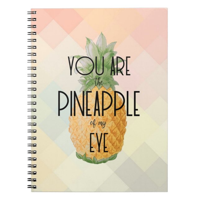 Carnet "Vous êtes l'ananas de mon oeil " (Devant)