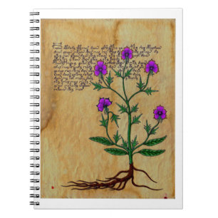 Carnet Voynich Herboristerie Vintage RetroCharms