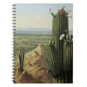 Carnet Vue depuis Maricopa Mountain près de Rio Gila par