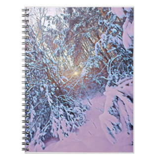 Carnet Vue forestière d'hiver