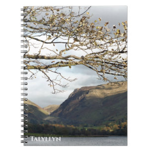 CARNET VUES DES ALLES