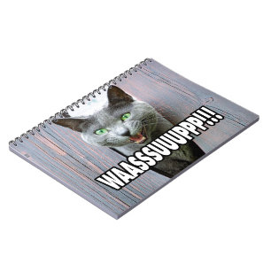 Carnet WASSUP - Mème de chat