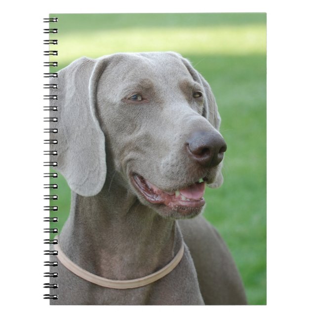 Carnet Weimaraner (Devant)