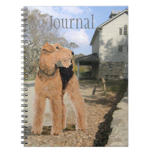 Carnet Welsh Terrier dans la cour de l'écurie