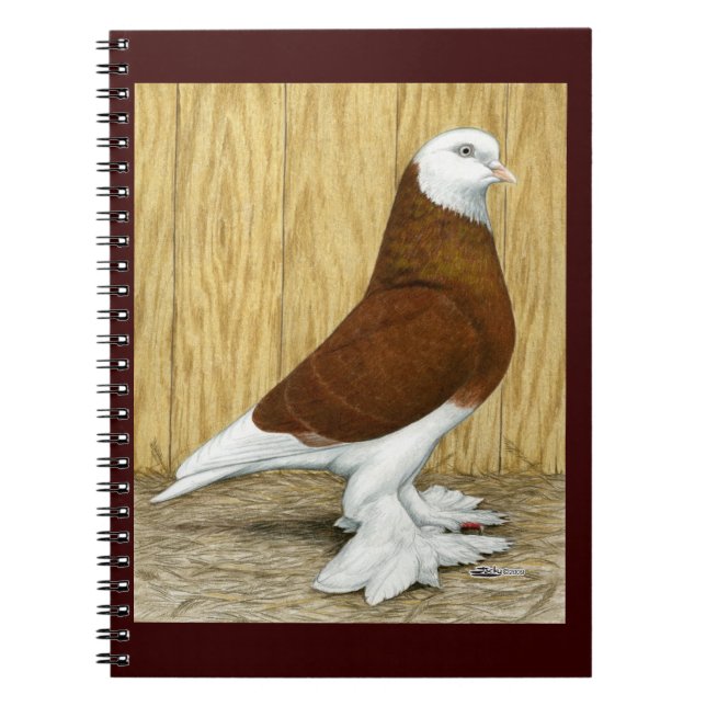 Carnet West of England Tumbler Red Baldhead (Devant)