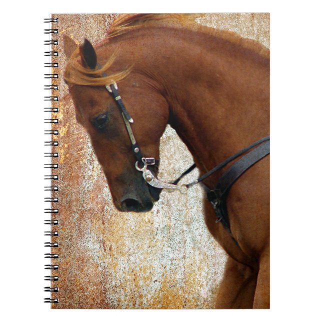 Carnet Western Horse Sorrel Grunge (Devant)