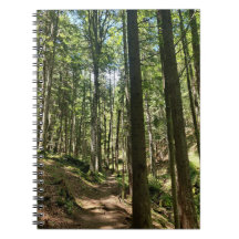 Whispers of the Forest