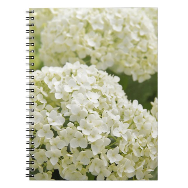 Carnet White Hydrangea (Devant)