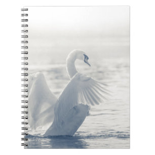 Carnet White Swan Nature Photo