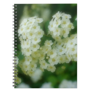 Carnet Wild White Rambling Roses Flower Nature