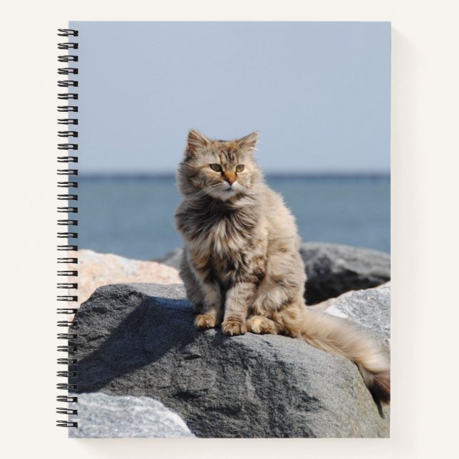 Carnet Windswept Cat at Seaside Cute Photo (Devant)