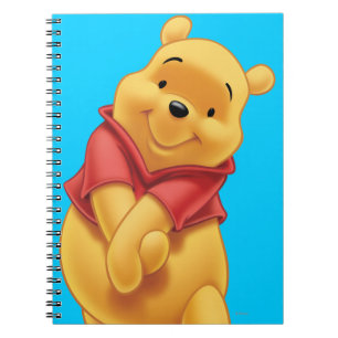 Carnet Winnie le Pooh 13