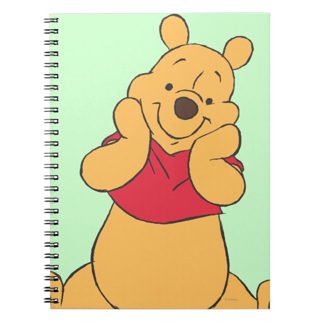 Carnet Winnie l'Ooh 12 (Devant)