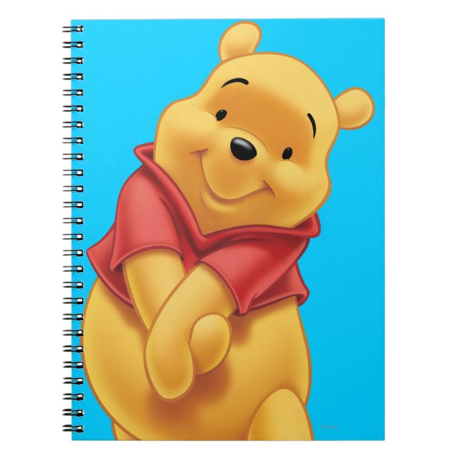 Carnet Winnie l'Ooh 13 (Devant)