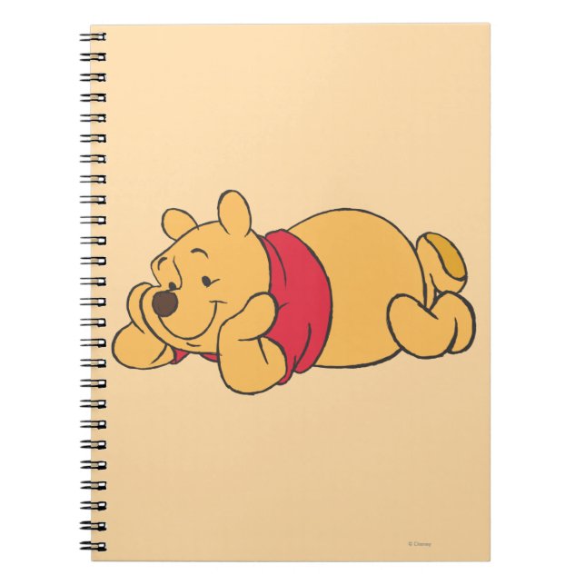 Carnet Winnie l'Ooh 2 (Devant)