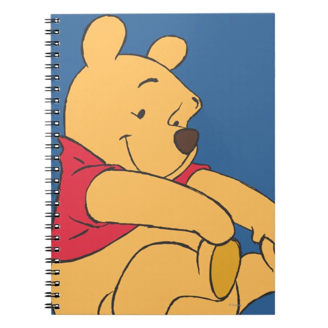 Carnet Winnie l'Ooh 9 (Devant)