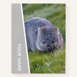Carnet Wombat Australia Cute Animal, Silver
