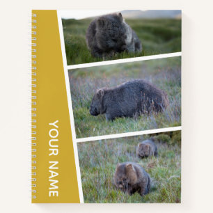 Carnet Wombat Australia Photo Collage, Or