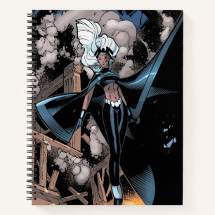 Carnet X-Men   Tempête au-dessus de Burns City