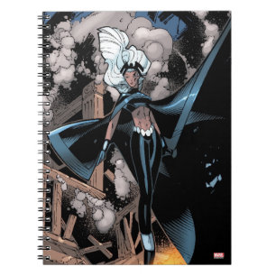 Carnet X-Men   Tempête sur la ville en feu