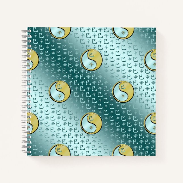 Carnet Year of the Metal Snake (Devant)